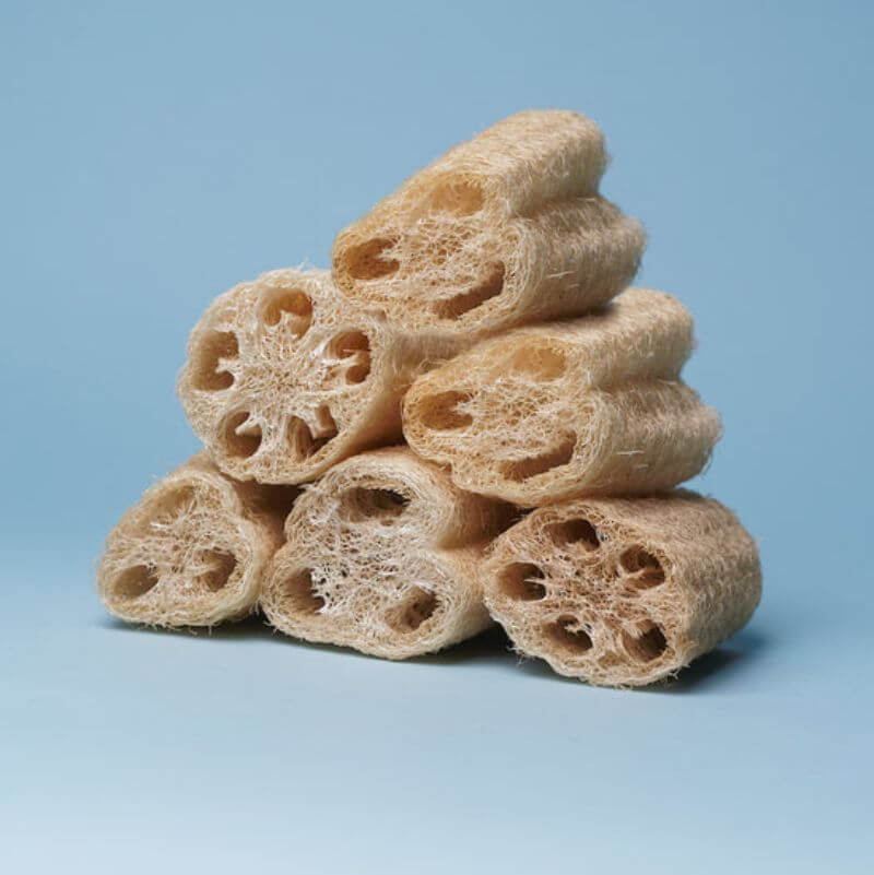 Natural loofahs