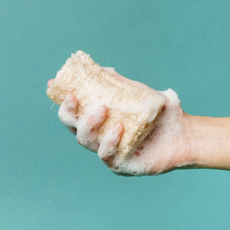 eco-friendly loofah